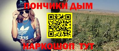 PSILOCYBIN Краснодар